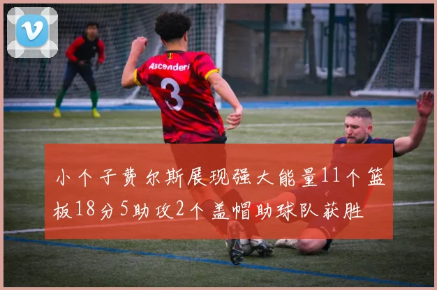 小个子费尔斯展现强大能量11个篮板18分5助攻2个盖帽助球队获胜