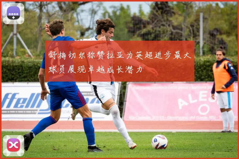 舒梅切尔称赞拉亚为英超进步最大球员展现卓越成长潜力